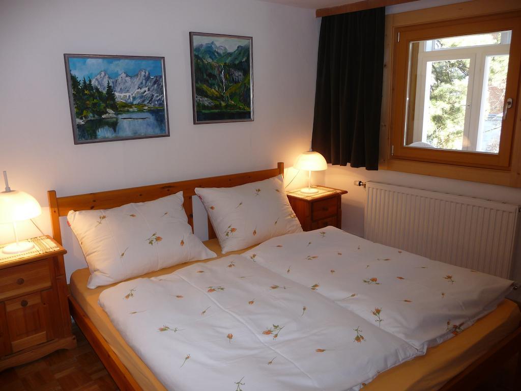 Apartamento Haus Gradwohl Schladming Habitación foto